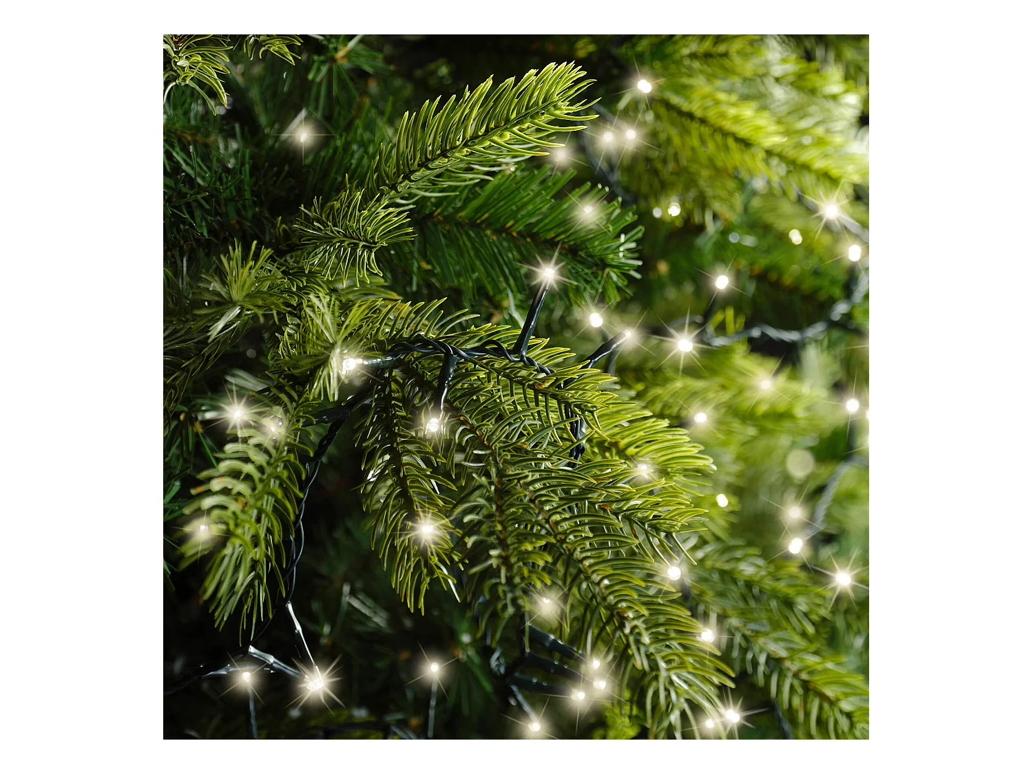 Lumières pour Arbre 1000 LED Rebecca Mobili Rizofora 2250x1 Plastique Cuivre Blanc Chaud