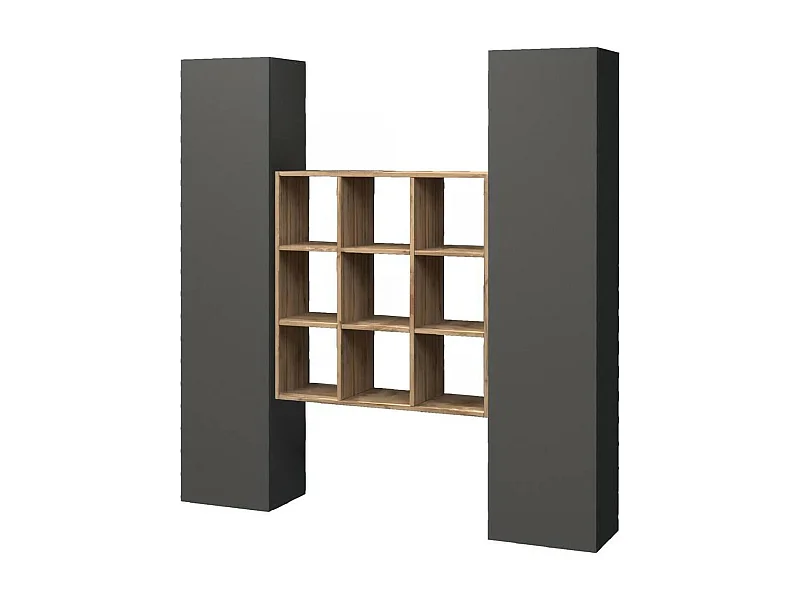 Buffet Ddacru, Ensemble de salon avec 2 portes et étagères, Buffet de salon, Buffet de cuisine, 100% Made in Italy, 170x30h180 cm, Anthracite et Érable