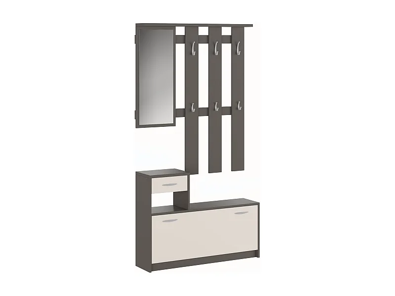 Meuble d'entrée Dbiagin, Entrée moderne, Armoire avec étagère à chaussures, Armoire polyvalente avec miroir et cintre, 100x25h180 cm, Anthracite et Blanc