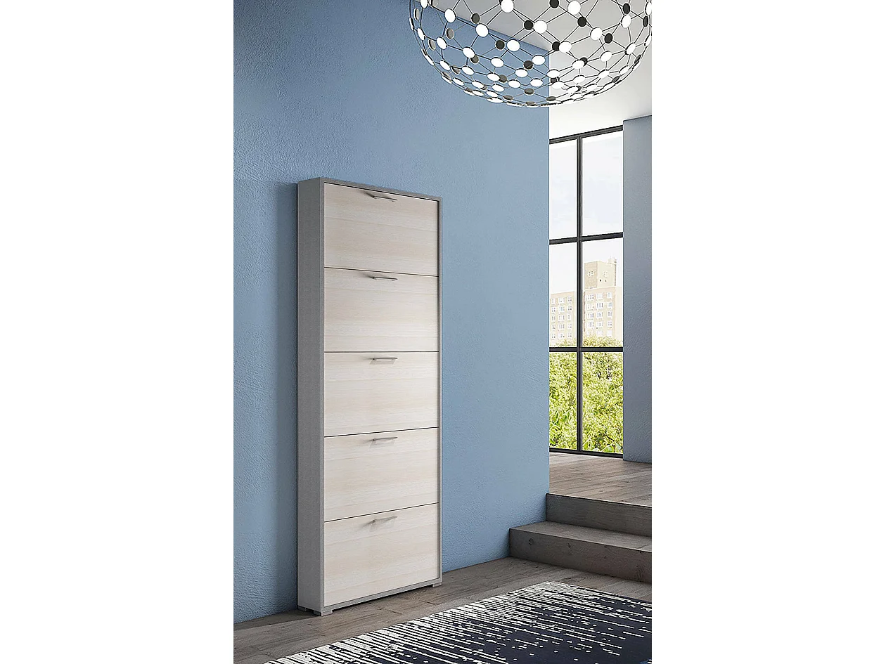 Zapatero Dgratto, Mueble de entrada polivalente con 5 puertas abatibles, zapatero moderno, 100% Made in Italy, 67x18h184 cm, Alerce