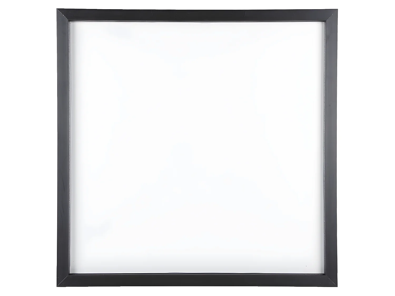 Cadre et photo d'art noir et blanc Zèbre Noir  Present Time