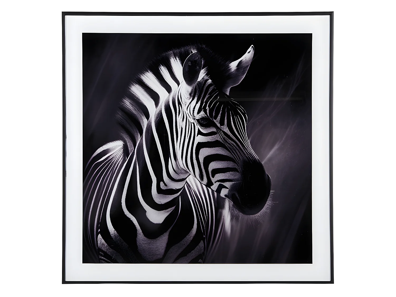 Cadre et photo d'art noir et blanc Zèbre Noir  Present Time