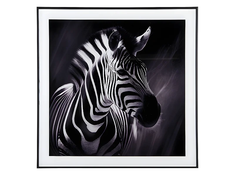 Cadre et photo d'art noir et blanc Zèbre Noir  Present Time