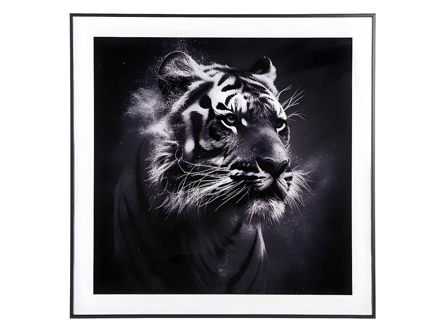 Cadre et photo d'art noir et blanc Tigre Noir  Present Time