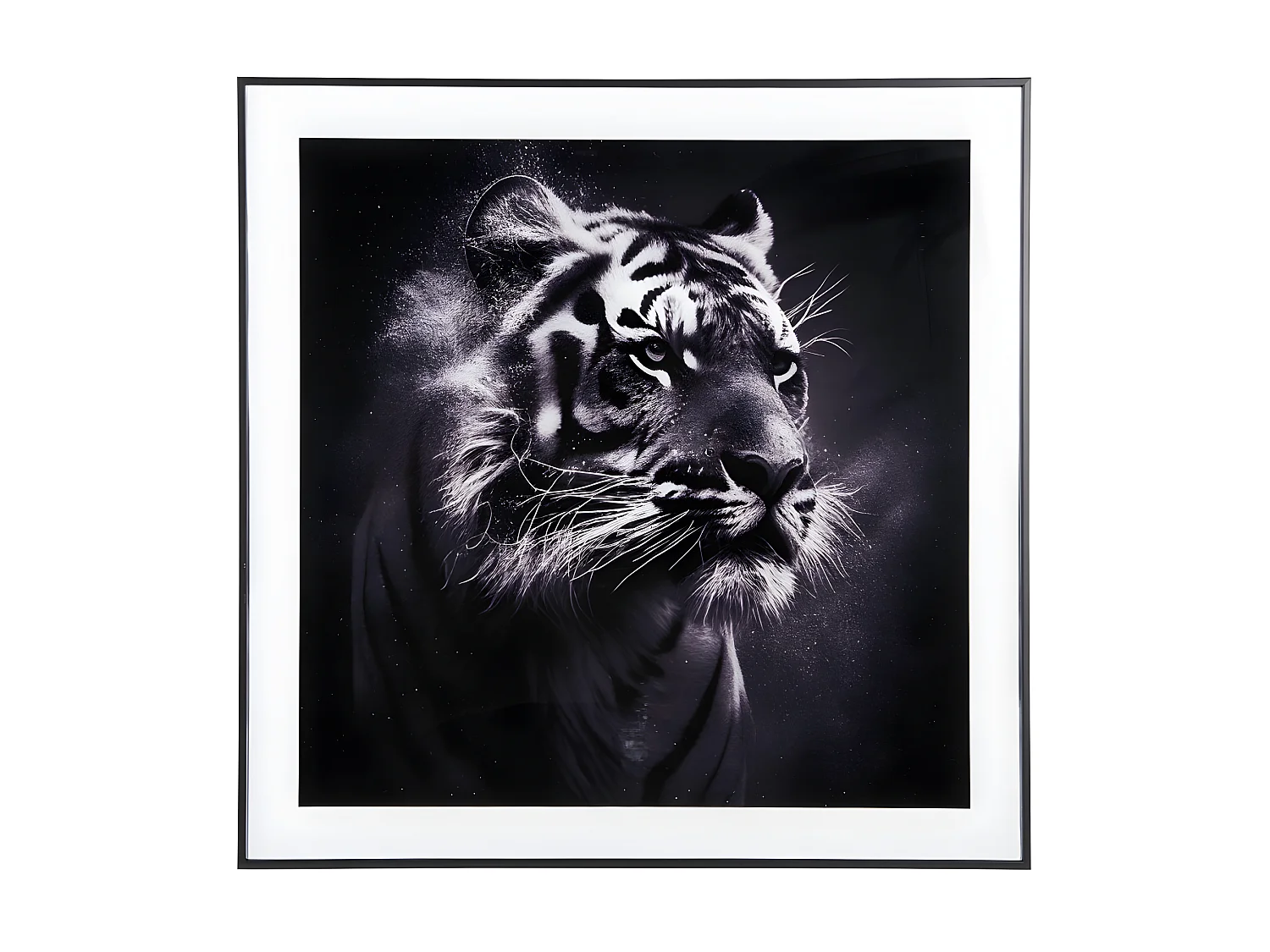 Cadre et photo d'art noir et blanc Tigre Noir  Present Time