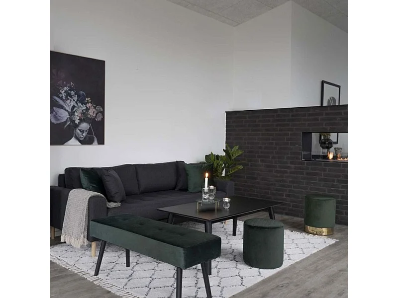 Lido canapé 3 personnes 2 coussins vert.