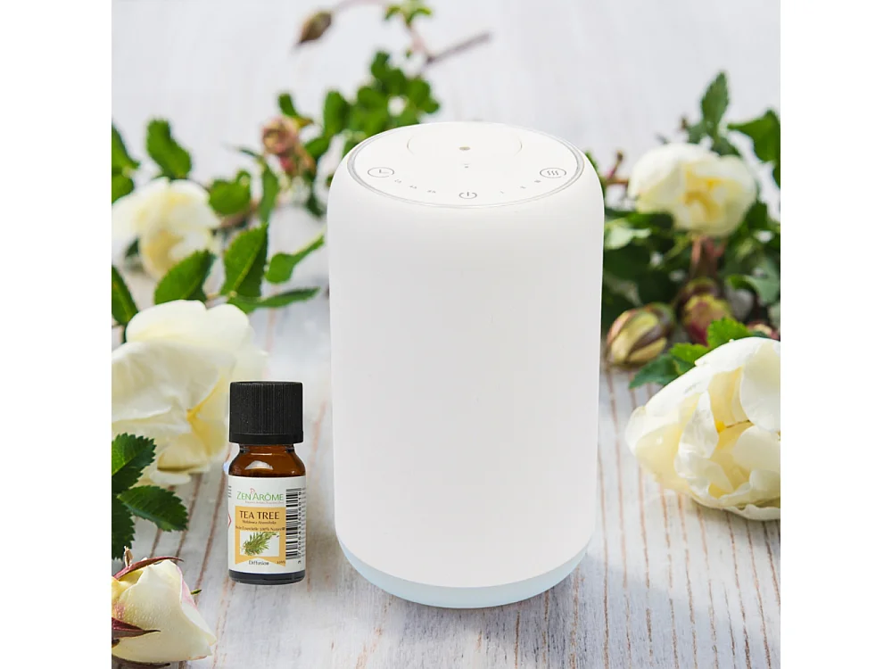 Diffuseur par nébulisation Movisia V2