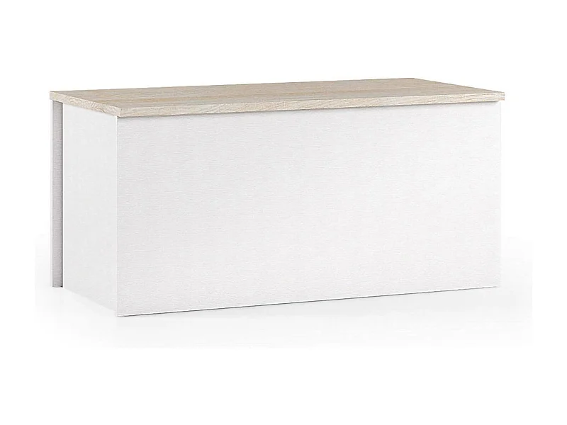 Malle Ditalen, Grande boîte de rangement polyvalente, Coffre moderne, 100% Made in Italy, 90x45h45 cm, Blanc et Chêne