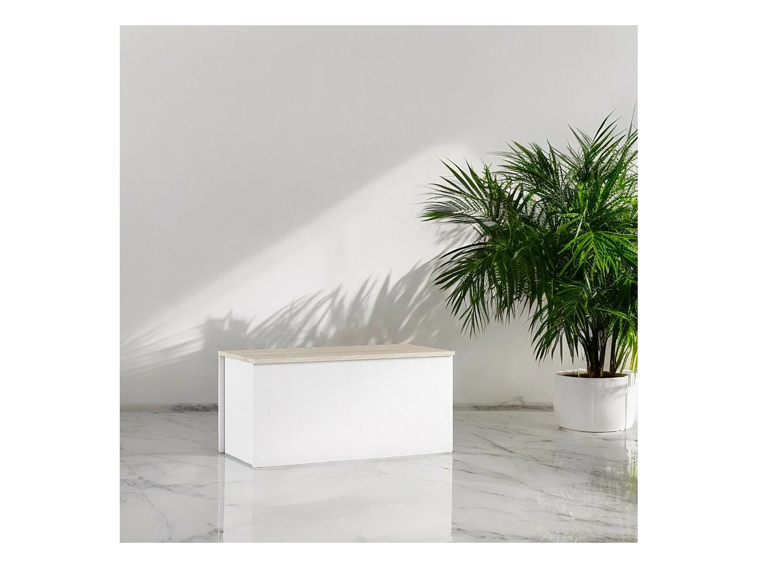 Dmora - Baule Ayusnay, 90x45h45 cm, Bianco e Rovere