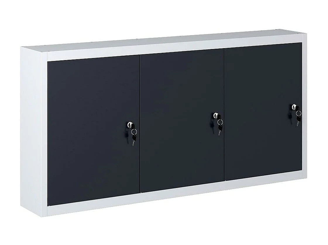 Armadietto per attrezzi da parete, organizer per attrezzi, per officina, stile industriale, 120 cm, metallo grigio e nero 02_0003806