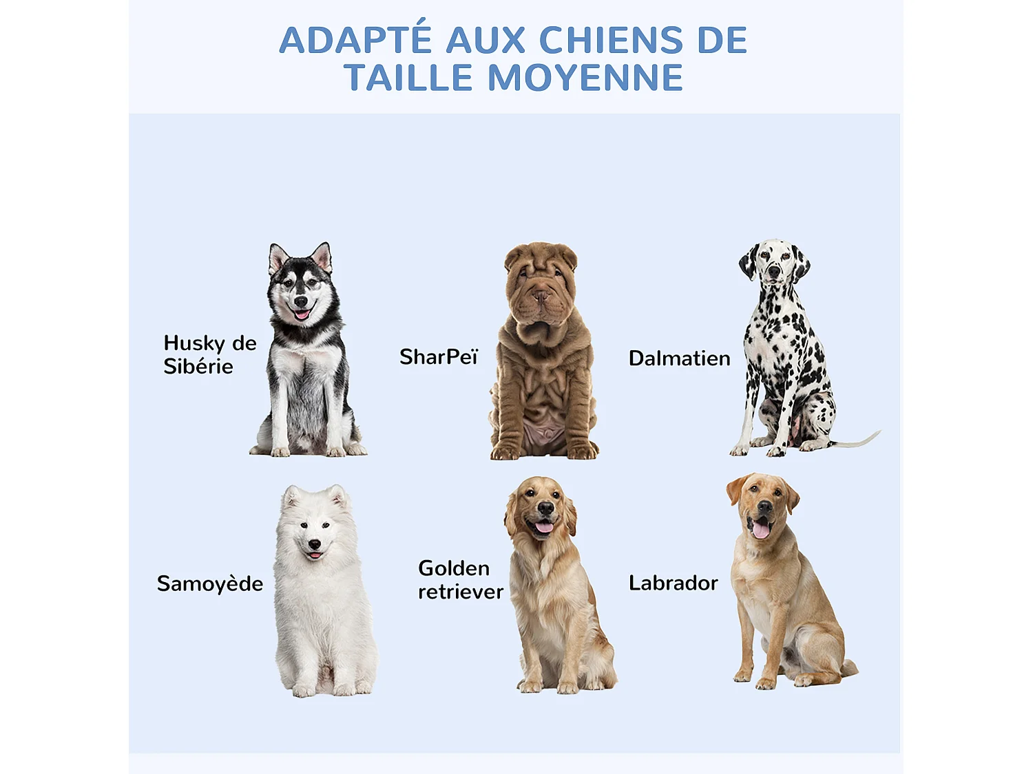 Cage de transport pour chien pliable - 2 portes verrouillables - plateau amovible - dim. 121L x 77l x 82H cm - acier ABS noir