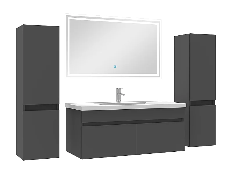Ensemble meubles Salle de Bain simple vasque 100cm, colonnex2 + miroir Anthracite