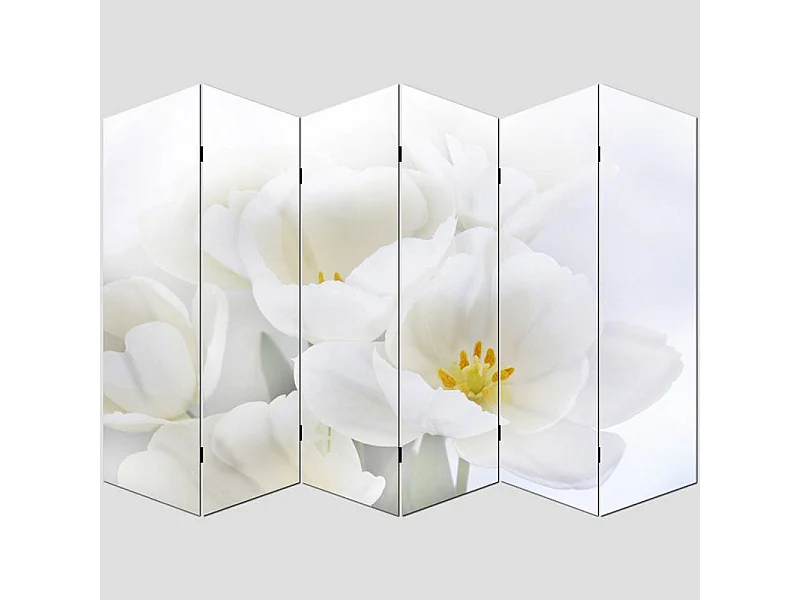 Paravent 6 panneaux pans 240 x 3 x 180 cm PAR04008