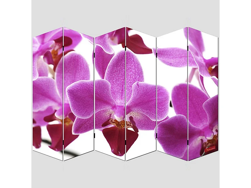 Paravent 6 panneaux pans 240 x 3 x 180 cm PAR04008