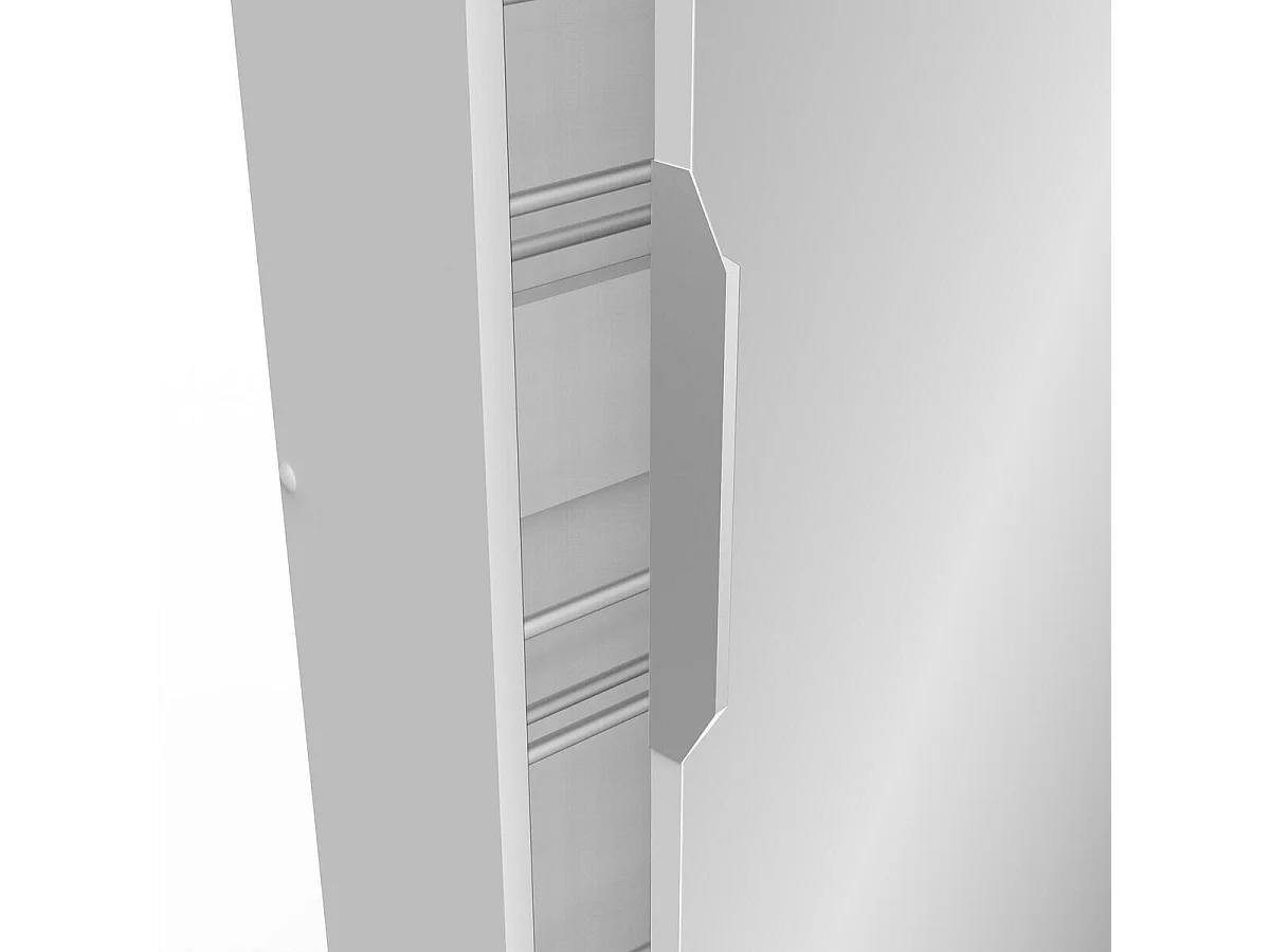 Armário de Sapatos 1 Porta Espelho L50 cm - Zapatero