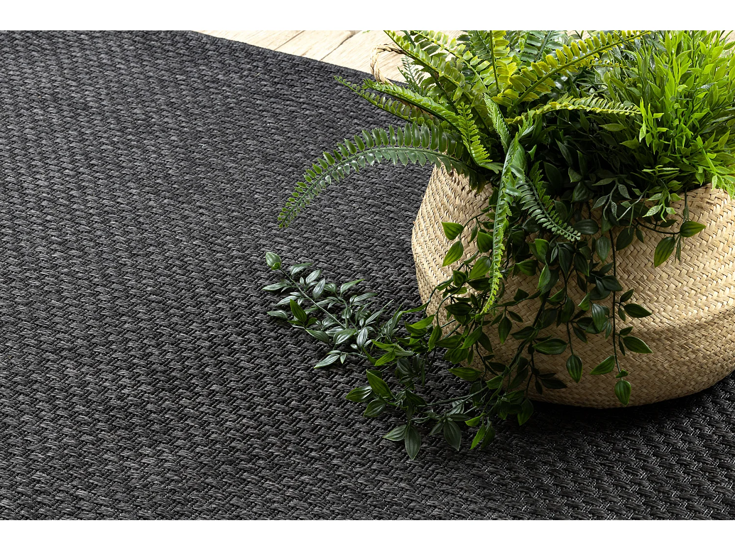 Teppich TIMO 6272 SISAL draussen schwarz 200x290 cm