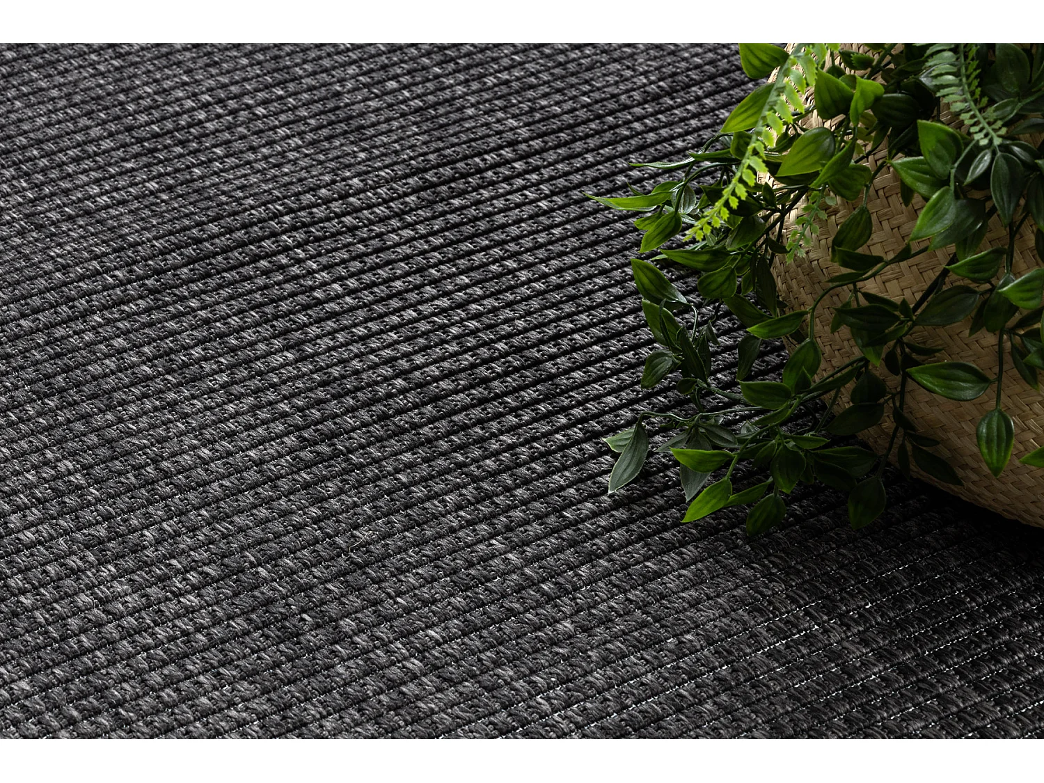 Tapis TIMO 5979 SIZAL extérieur cadre noir 140x190 cm