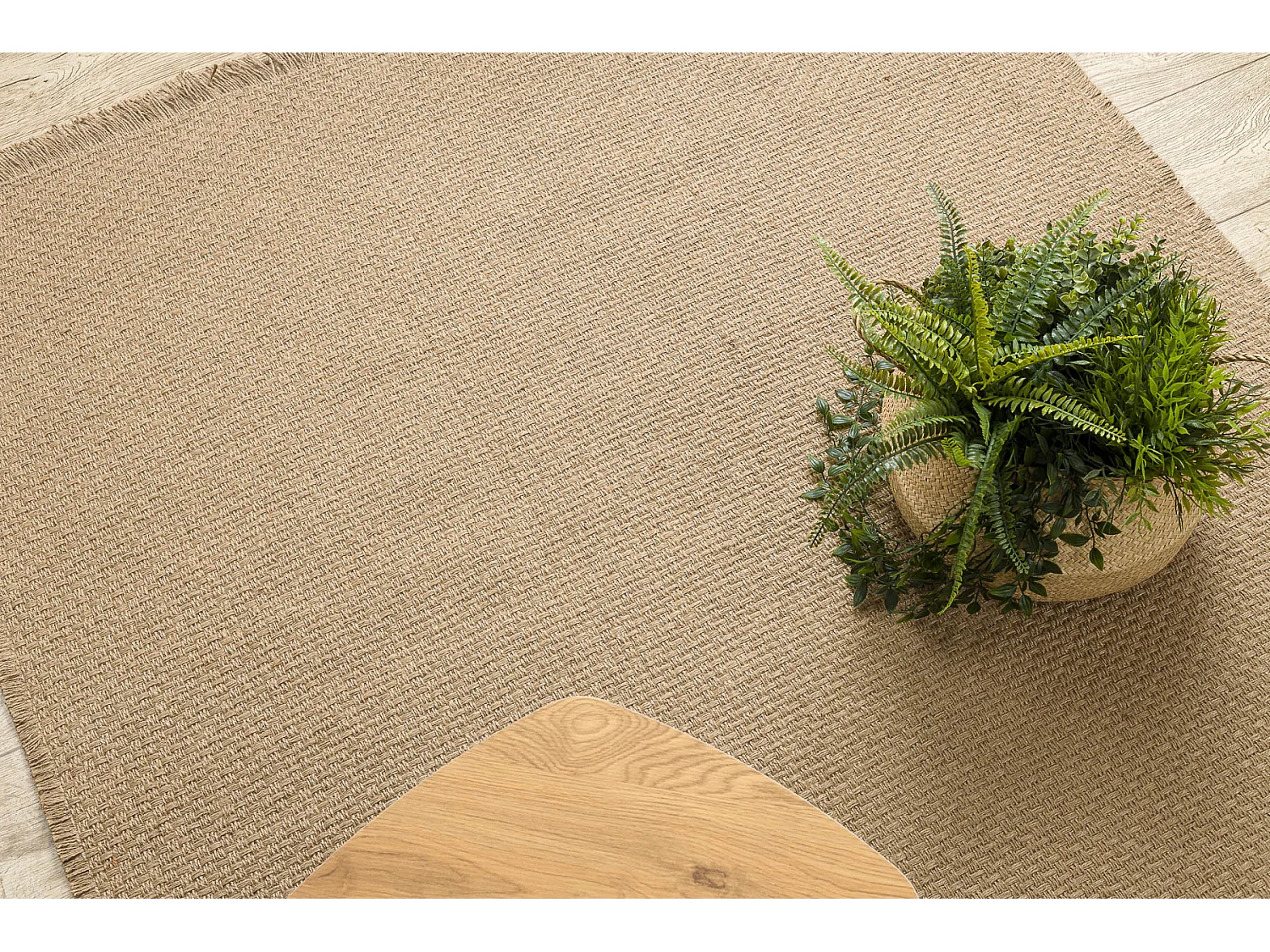 Tapijt JUTE 3651 donker beige één kleur - jute, platgeweven, franjes 160x220 cm