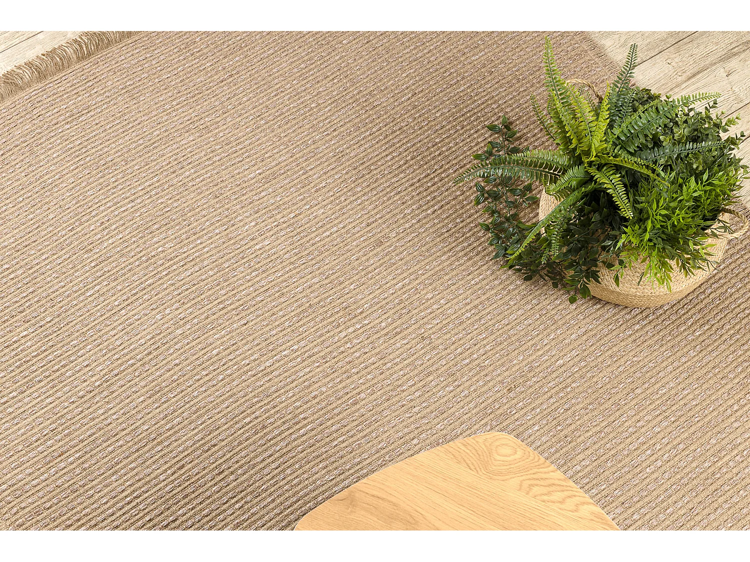 Tapis JUTE 3652 beige foncé une couleur - jute, tissé à plat, frang 140x190 cm