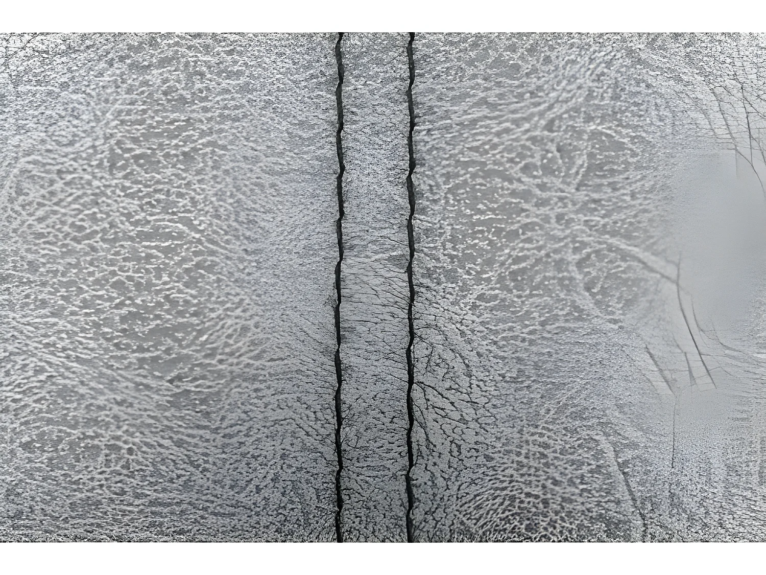 CABECERO DALIA TELA MAGNOLIA PERLA 190