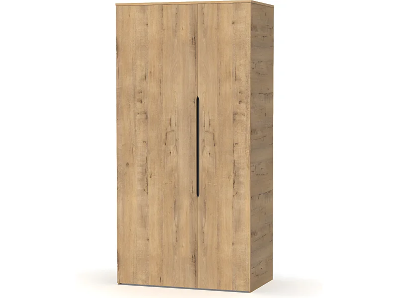 Armoire, placard coloris chêne doré  - Longueur 100 x Profondeur 57 x hauteur 200  cm