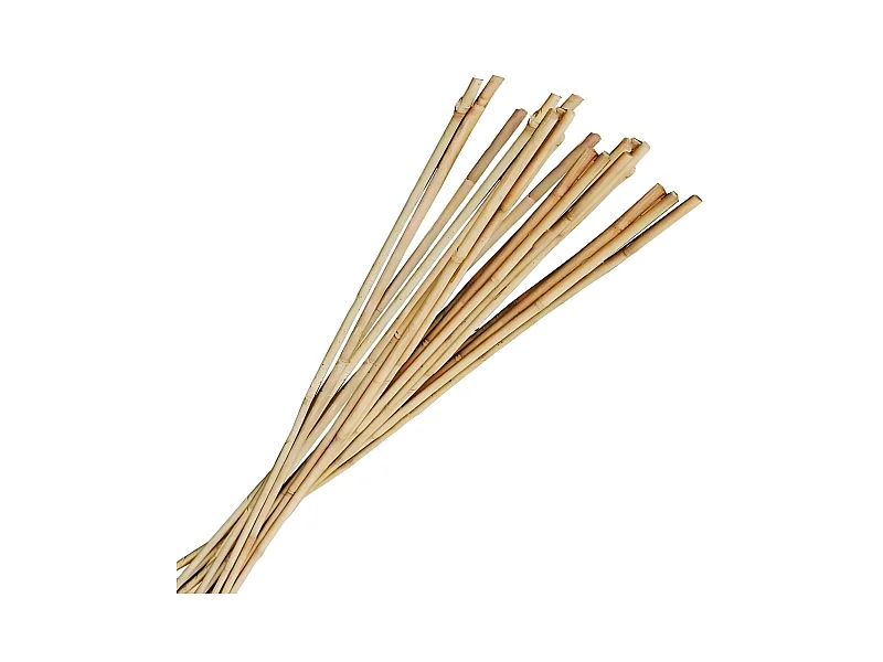 Paletto in bambù 1m80 (Set di 10)