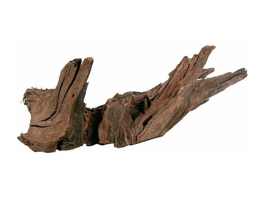 Racine naturelle Mangrove 40/60 cm