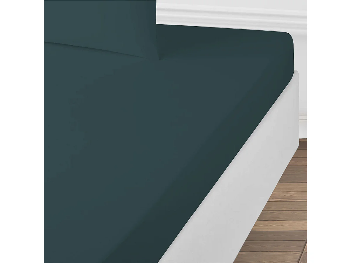 Drap housse uni en coton 57 fils pétrole 160x200cm