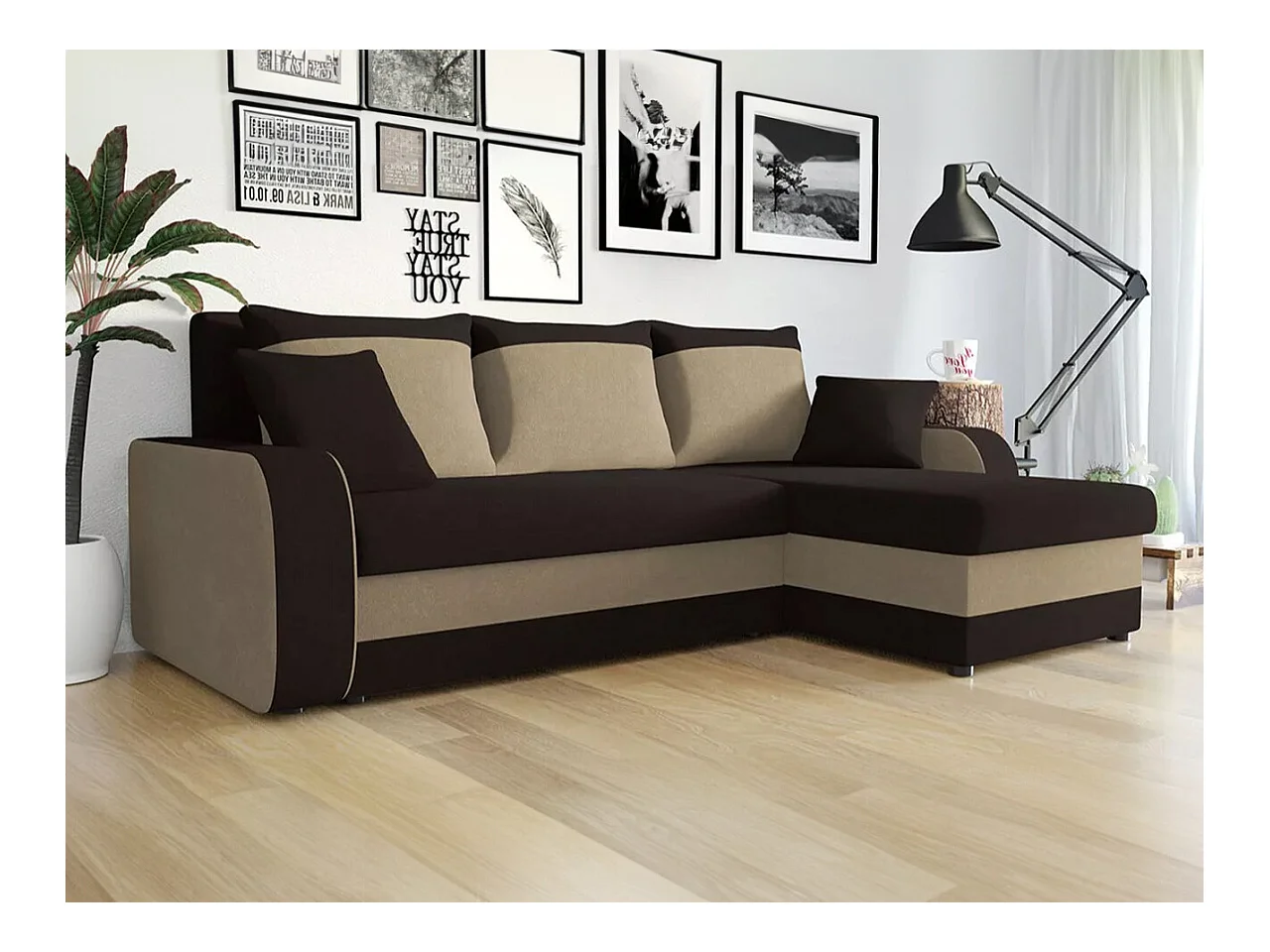 Canapé d'angle Comfivo 203, Marron, Fonction de couchage, Boîte de literie, 238x147x80cm