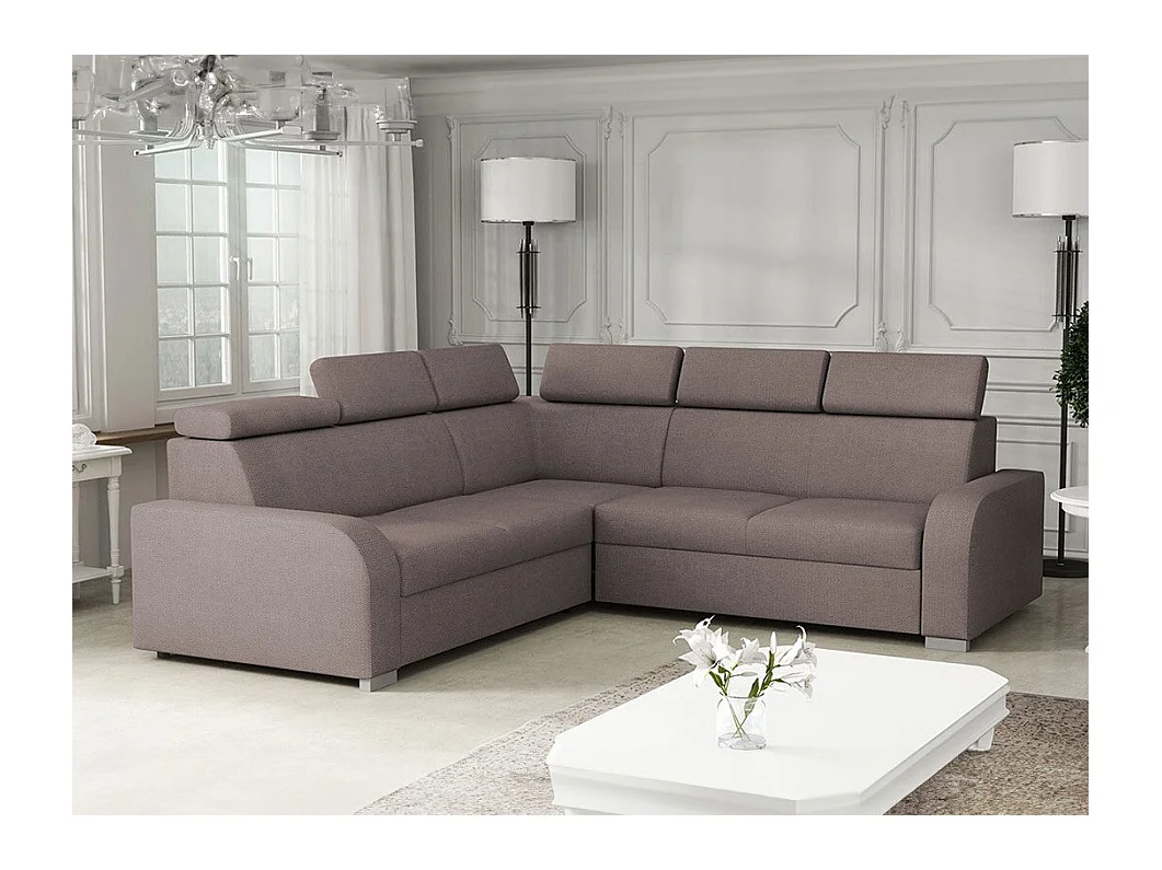 Canapé d'angle Etrcala 101, Marron, Fonction de couchage, Boîte de literie, 250x250x100cm