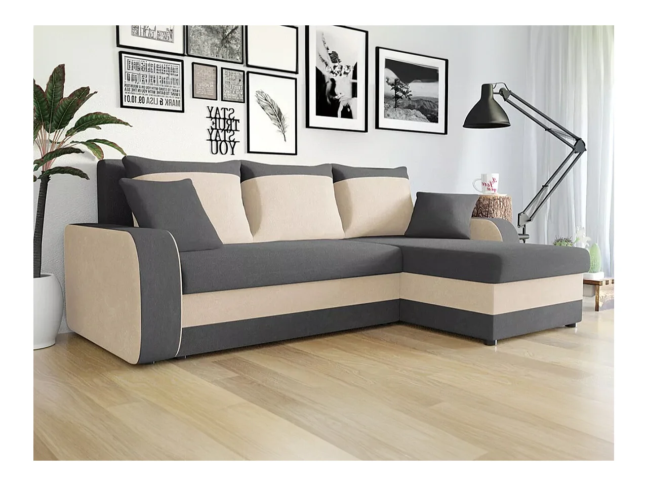 Canapé d'angle Comfivo 203, Gris, Fonction de couchage, Boîte de literie, 238x147x80cm