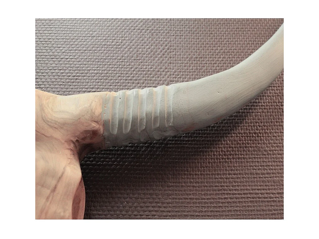 Sculpture tête de buffle en bois de teck - WHITE BUFFALO