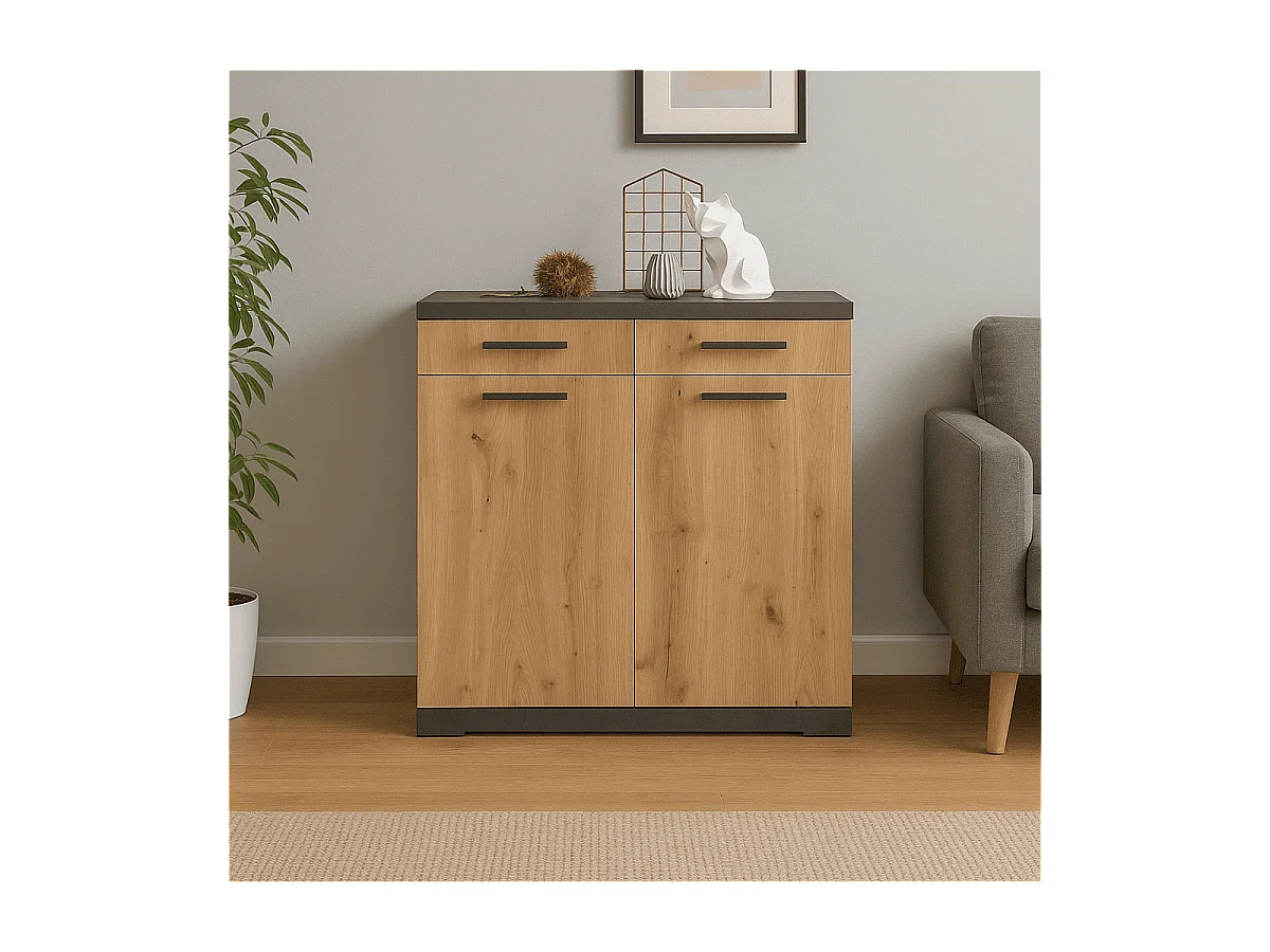 Commode de Rangement 2 Portes 2 Tiroirs L80cm - Bristol