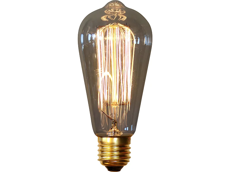 Ampoule Edison Vintage - Squirrel Transparent
