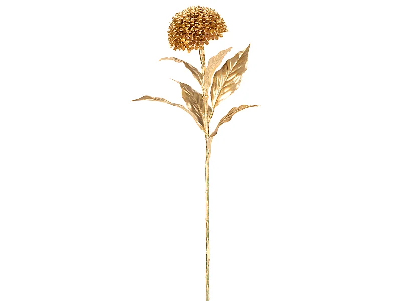 Tige de Zinnia - Doré / 70 cm