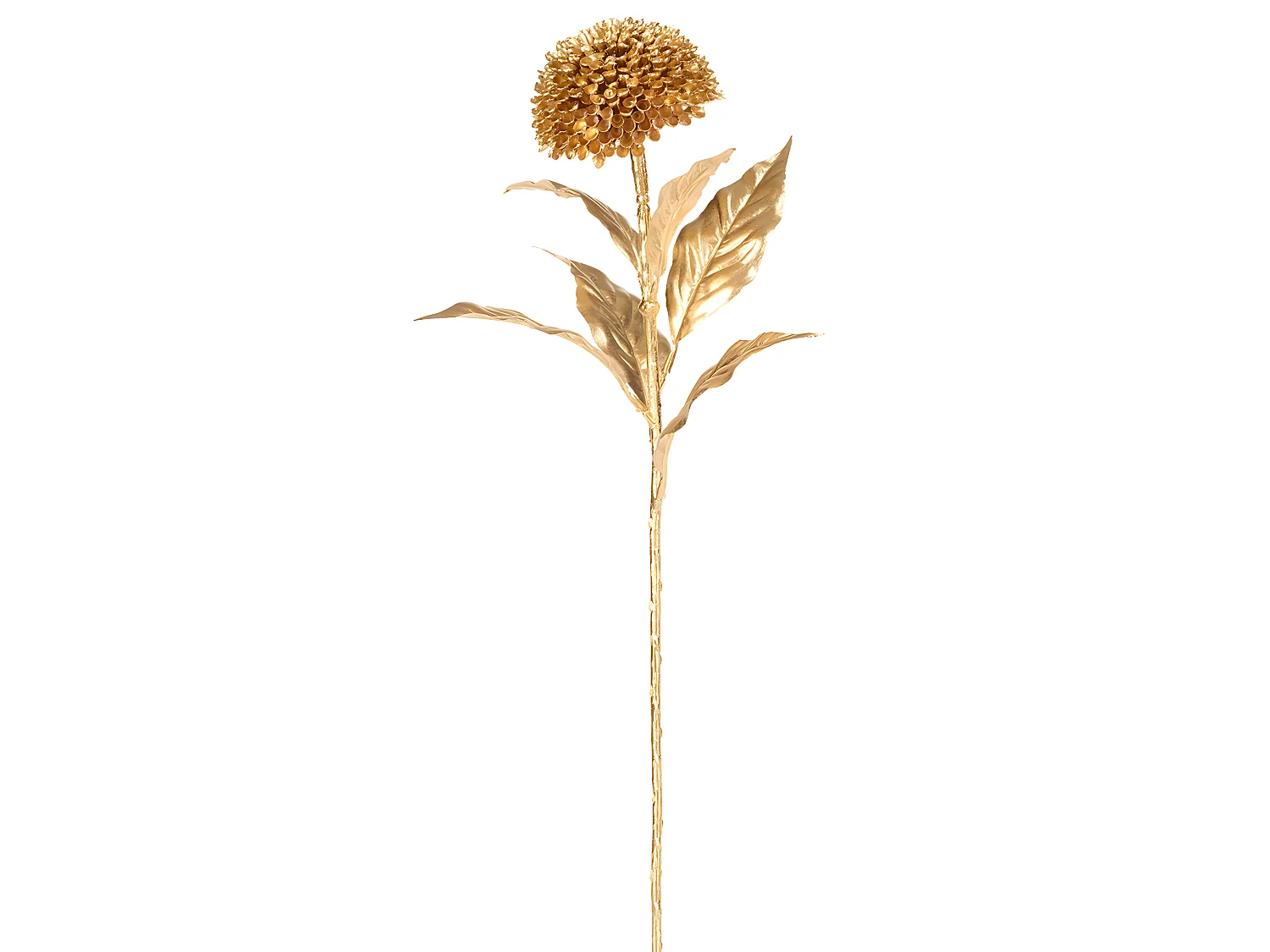 Tige de Zinnia - Doré / 70 cm