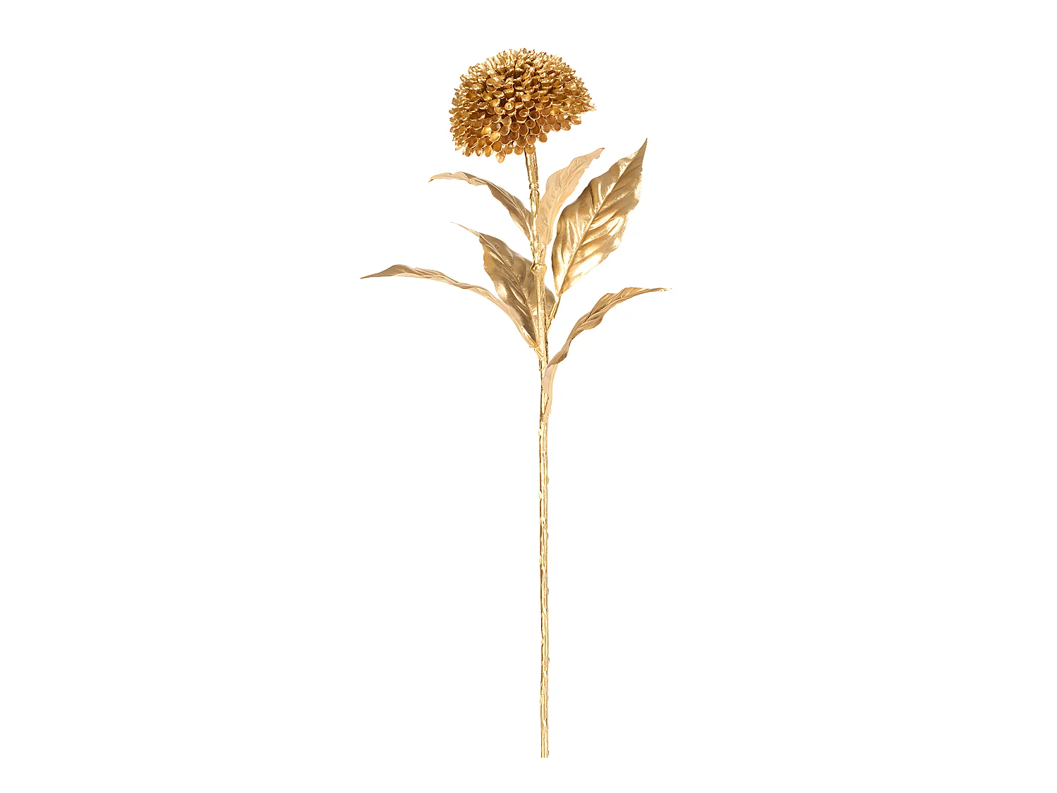 Tige de Zinnia - Doré / 70 cm