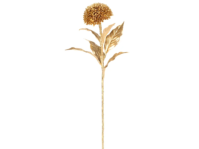 Tige de Zinnia - Doré / 70 cm