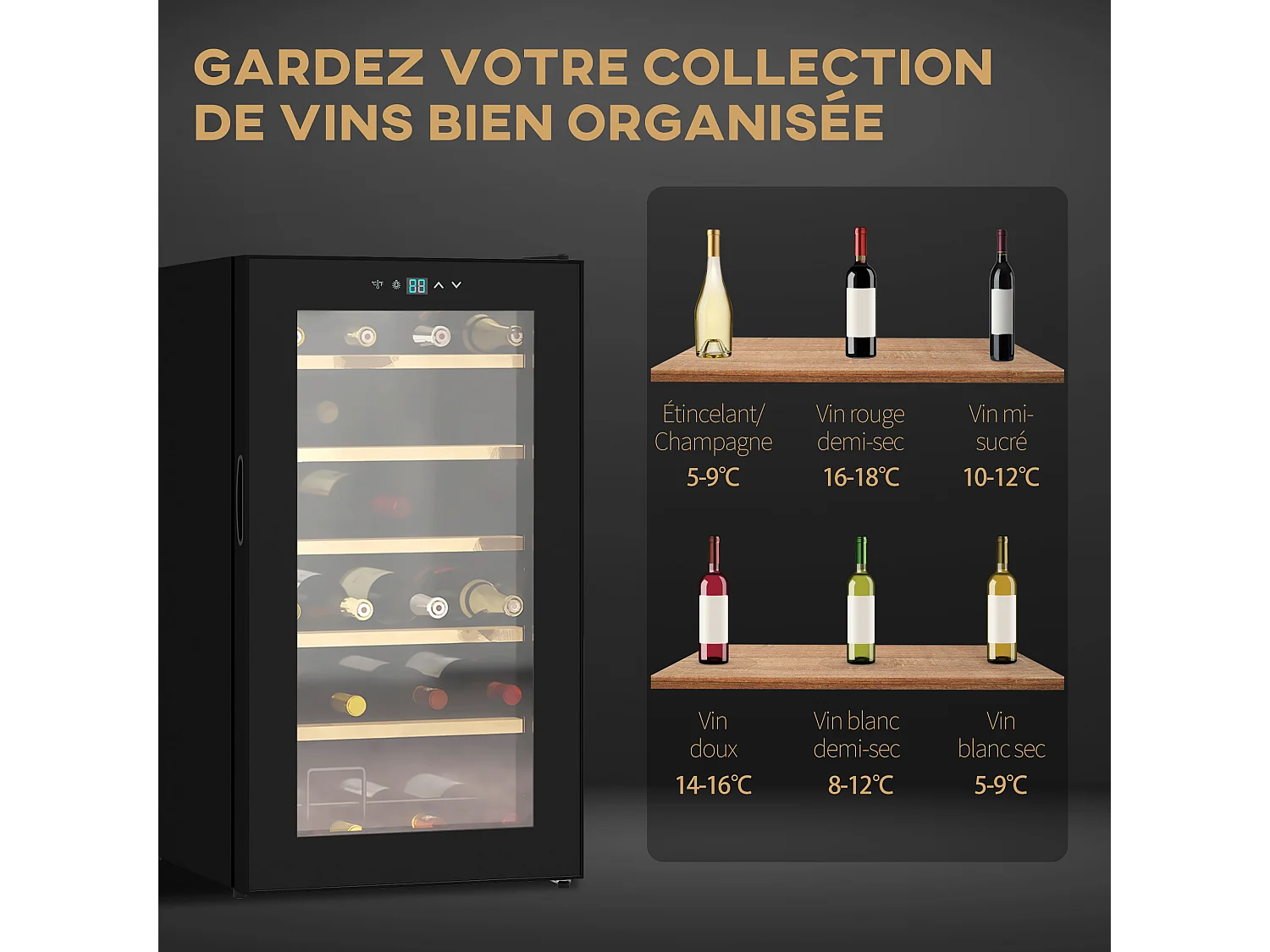 Cave à vin thermoélectrique 24 bouteilles panneau tactile écran LCD éclairage intérieur LED température réglable 5-20°C noir
