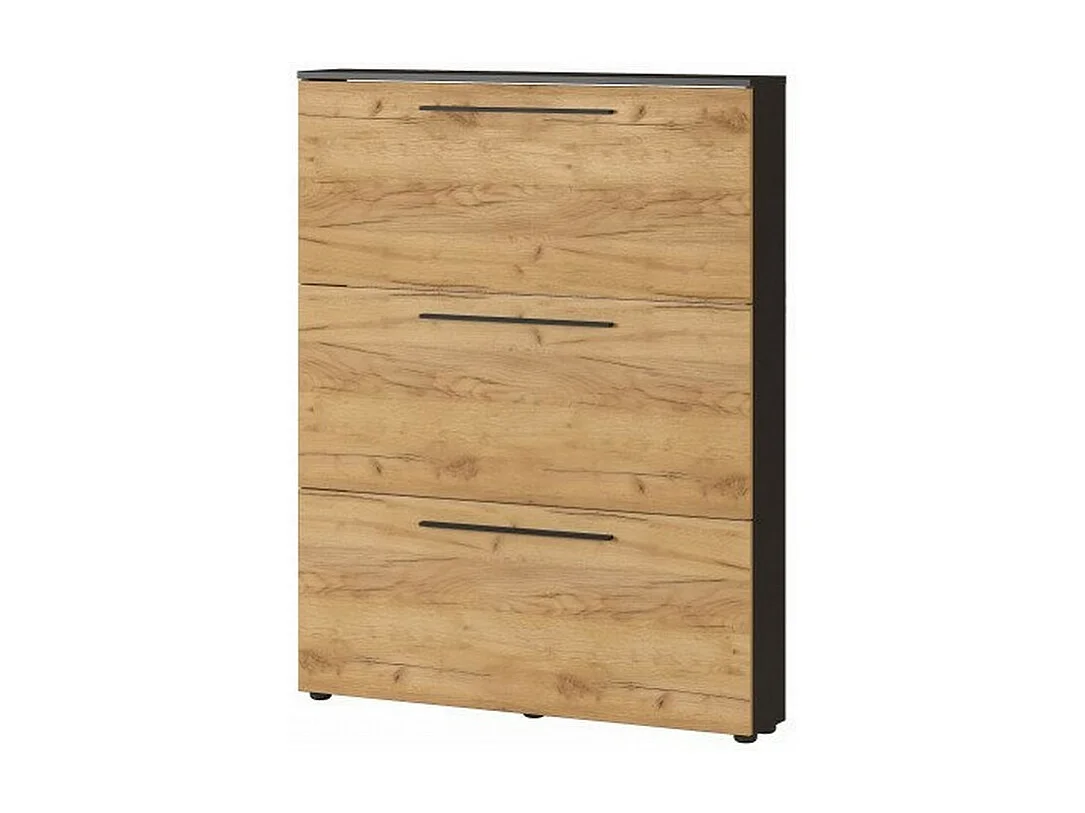 Meuble à chaussures noir et chêne 3 portes Nava
