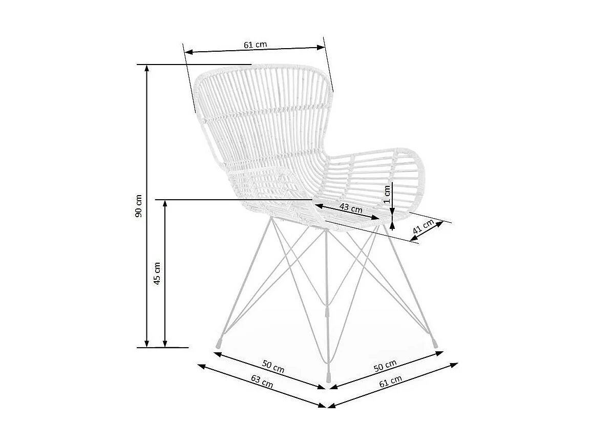 Fauteuil en rotin naturel avec accoudoirs pieds en acier noir Honey