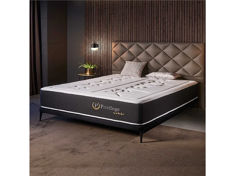 Naturalex - Matelas Privilège 160x200 cm - Multicouches HR - Blue Latex - Très épais 25 cm, Mousse à Mémoire de forme, 7 zones, Confortable - 2 faces été, hiver