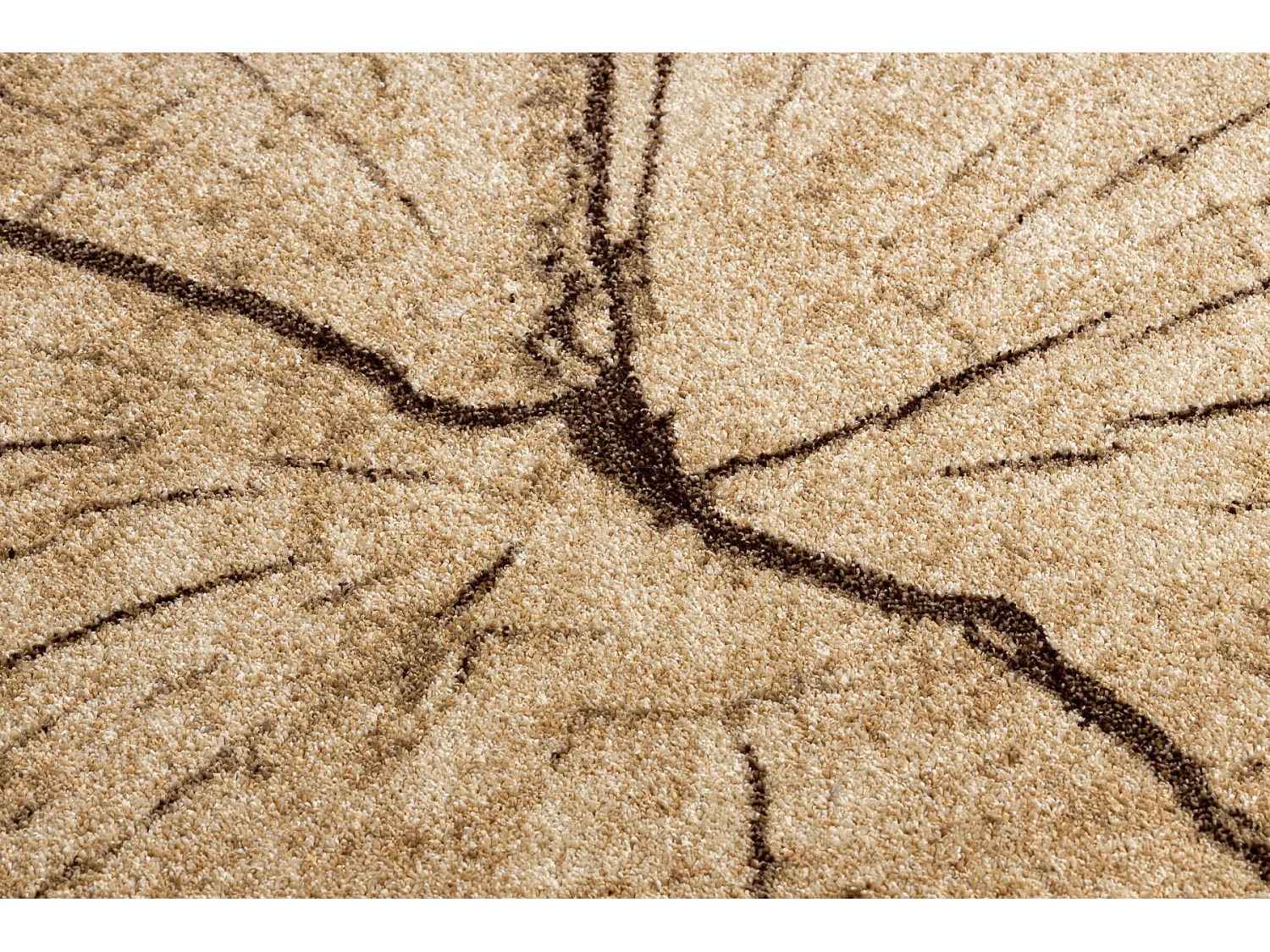 Tapis SILVER TRONKO Arbre Bois noix  240x340 cm