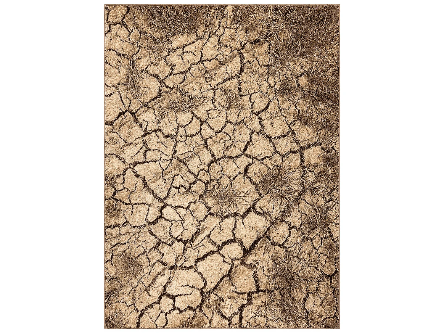 Dywan KARMEL Terra popękana ziema orzech  240x340 cm