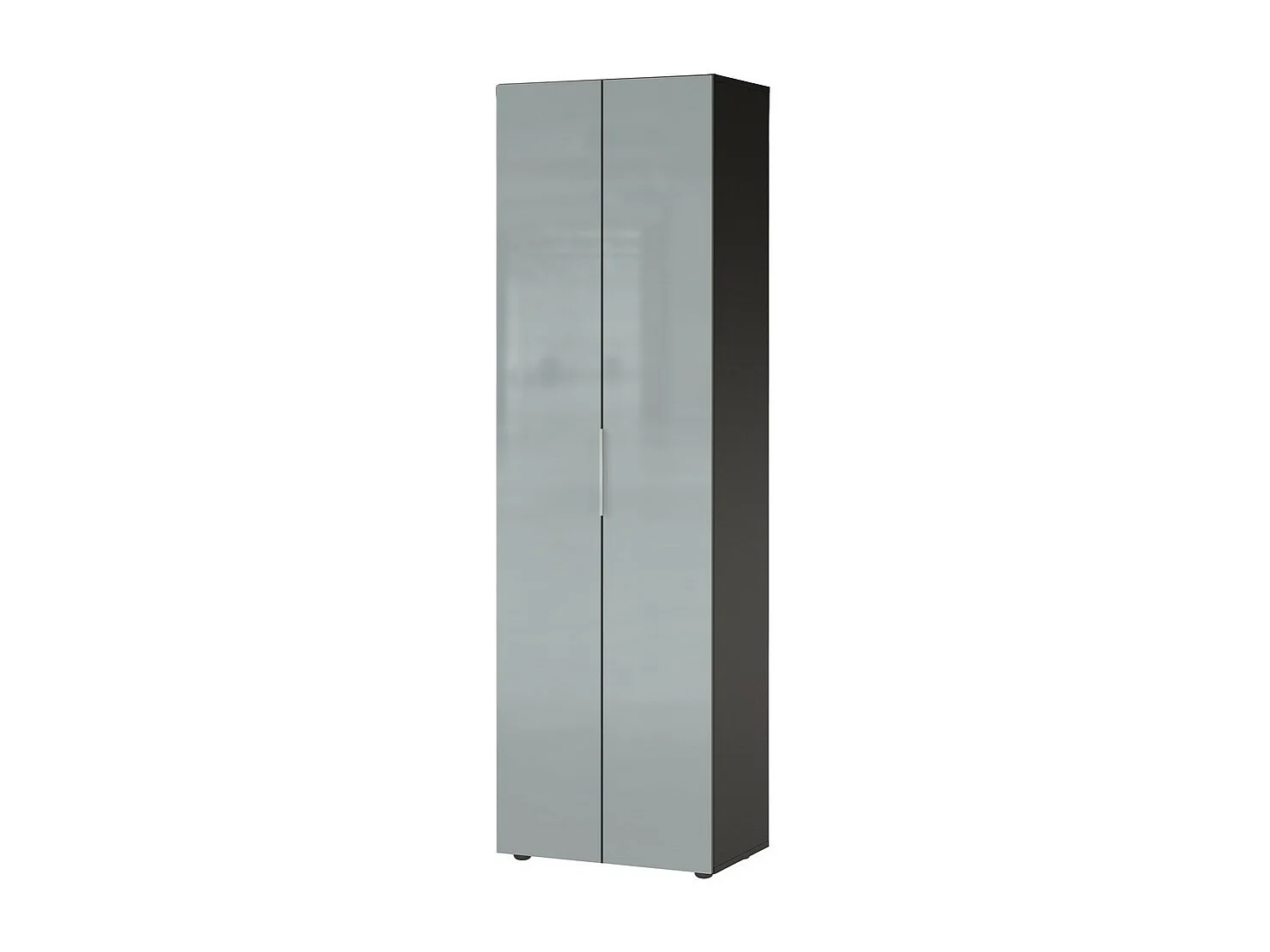 Armoire d'entrée design verre gris 2 portes Artom