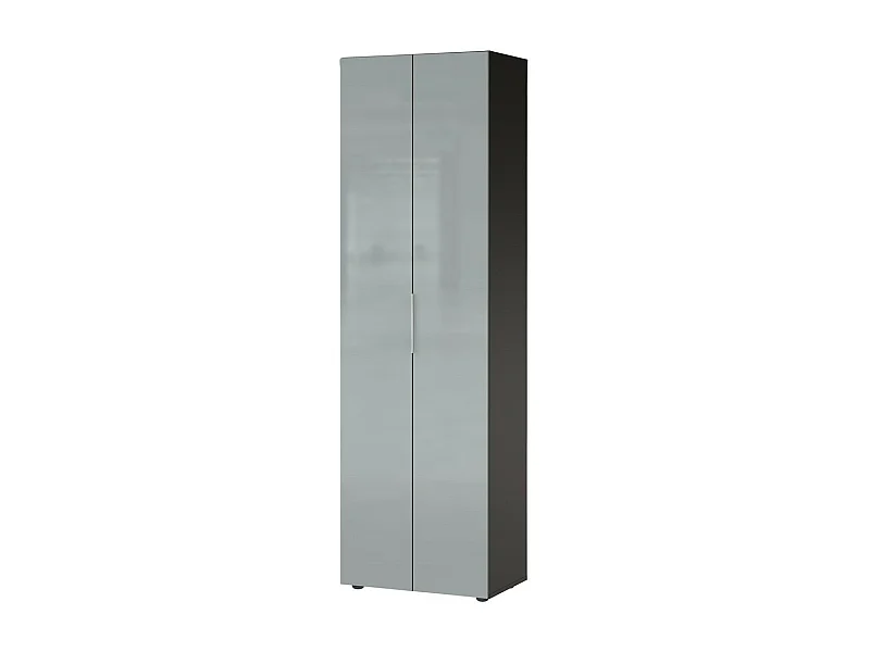 Armario recibidor Artom 2 puertas diseño cristal gris