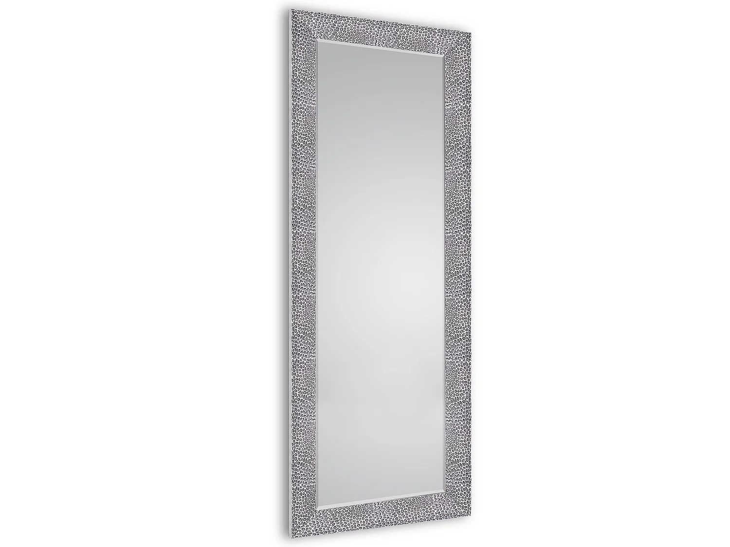 Vicky - Miroir - Argenté - 50x150 cm