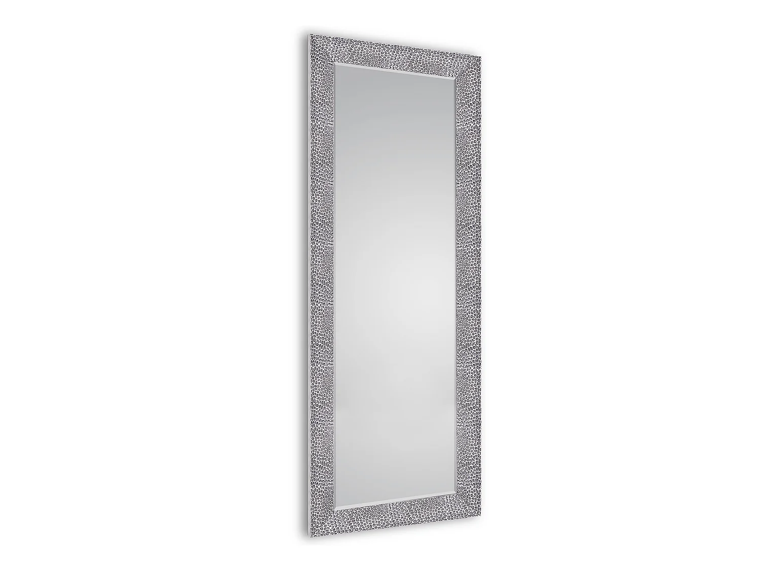 Vicky - Miroir - Argenté - 50x150 cm