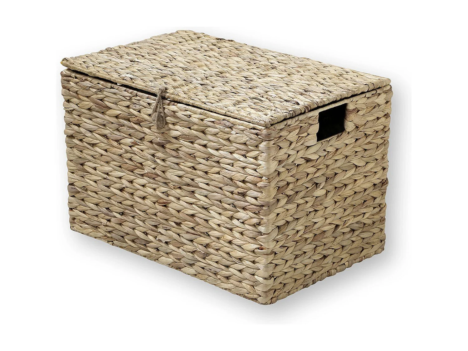 Coffre en Jacinthe d'Eau avec Couvercle