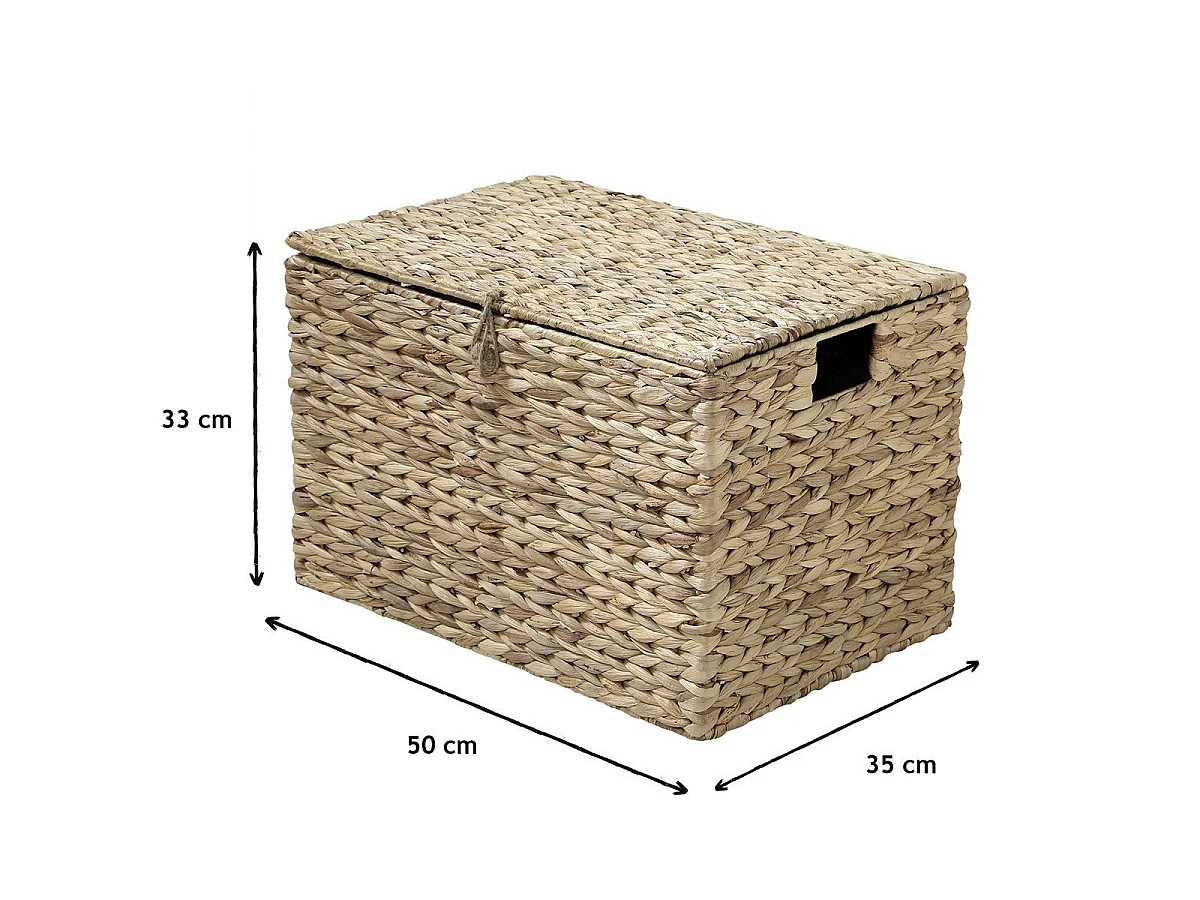 Coffre en Jacinthe d'Eau avec Couvercle